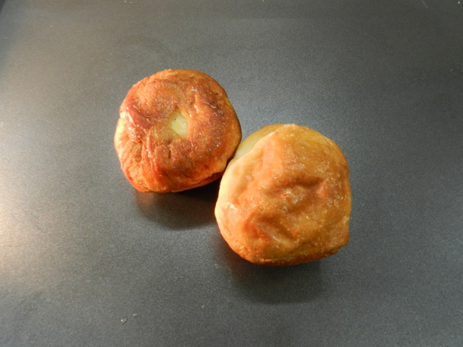 パレットの塩バターパン